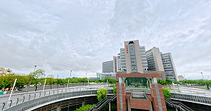 嘉義長庚限縮中風轉診掀爭議！專家示警：醫療人力危機迫在眉睫 