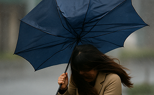 強風警報！18縣市列黃色燈號 氣象署示警2日內最猛