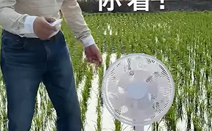 市售電風扇標示不符屢遭申訴 業者提醒要看清楚「節能標章」等認證