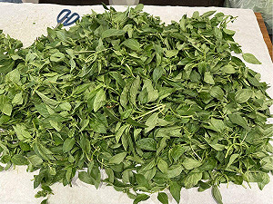 韭菜花、九層塔都中標！北市最新「農藥殘留」名單曝