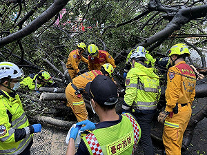 逢甲校內疑因大雨不斷大樹倒塌 壓倒一男學生OHCA