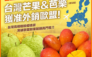 卓榮泰：好消息！台灣芒果跟芭樂可以出口到歐盟國家了 