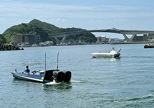 楊宏基觀點》借鏡烏克蘭黑海無人艇戰爭  思考台海海況、訊號傳輸基建、電戰干擾