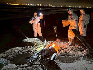 海漂豬隻檢出非洲豬瘟 海巡署長親赴金門督導、強化邊境查緝
