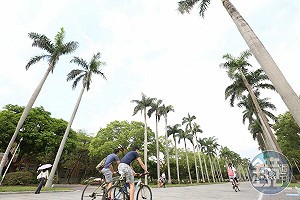 MIT又奪冠！台大進步5名　英國世界大學最新排名公布了「台灣前十大曝光」