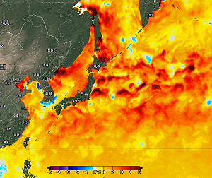 海溫異常!鄭明典曝日本海域「紅通通」:高溫恐成新常態