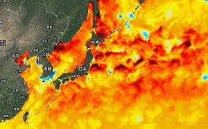 海溫異常！鄭明典曝日本海域「紅通通」：高溫恐成新常態