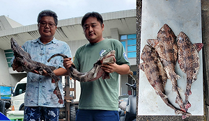 消失60年!恆春漁民捕獲神祕怪魚 疑是傳說級稀有「絨毛鯊」
