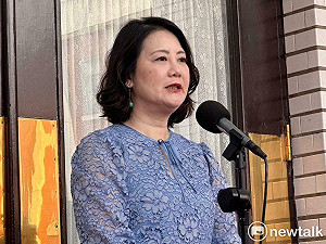 林岱樺遭起訴!牽動高雄市長初選 綠黨團:確實投下一些波瀾