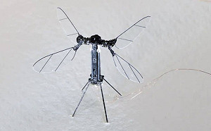 （影）專為隱秘軍事任務設計 中國展示「蚊型」無人機