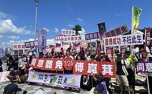 大罷免志工的故事3》民主不應該是這樣！ --訪花蓮罷團「曙光花蓮」仙姑 