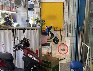 不滿鄰居點蚊香味道飄散 高雄2女大打出手互告傷害