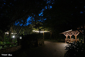 暑期限定!動物園7/5起「周六」延長開放至21時