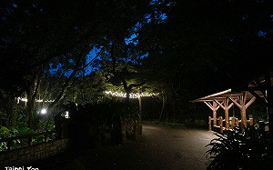 暑期限定！動物園7/5起「周六」延長開放至21時