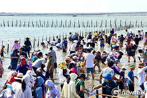 七股海鮮節挖文蛤體驗最後名額搶購  ibon限定優惠店家好康報你知