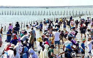 七股海鮮節挖文蛤體驗最後名額搶購  ibon限定優惠店家好康報你知