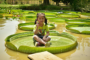 秋日限定小旅行！捏魚丸坐蓮花好吃又好玩