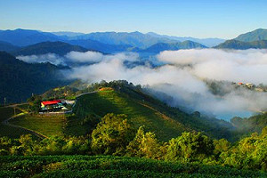 秋日好去處！新北郊山步道首次登上《lonely planet孤獨星球》