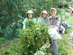 產權問題複雜  土城彈藥庫暗夜被挖