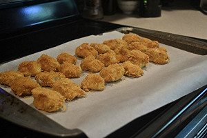 用死雞做雞塊?  羊舍主喊冤 : 只是買來餵狗