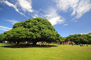 響應軍公教調薪  成大校聘人員加薪4%