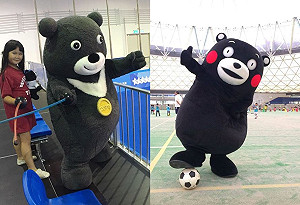 陳重生觀點》看看熊讚與熊本熊  想想柯P與民進黨的未來分合