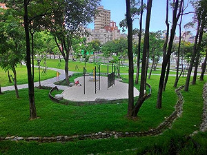 秘密花園！20多蝶種藏在高雄金獅湖蝴蝶園中