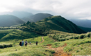 豪雨來襲6大森林遊樂區全關閉  林務局：勿前往山區