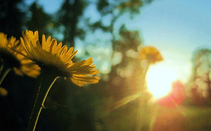 周末北部偶雨中南晴 花東出門帶雨具