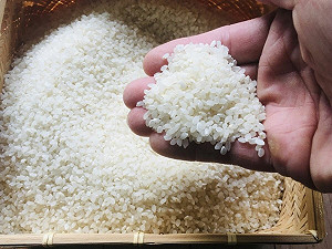 日本米缺很大!台灣米又出口「漲1成」 小吃店首當其衝