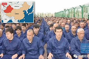 不用「血論文」!也是「強制抽血取樣」爭議 英媒:牛津大學出版社停止中國期刊