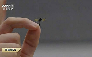 專論》小心！不吸血的間諜蚊子   中國軍方發表蚊子無人機 