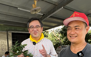 減產更需加強宣傳！「霧農大叔」教如何吃荔枝不上火 瀏覽人次3天破200萬