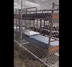 （影）「鱷魚惡魔島」內部影片曝光! 川普視察稱：逃跑率1% 被批漠視人權