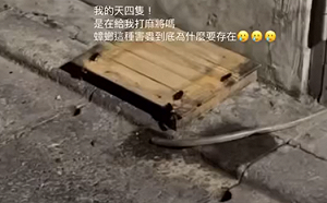 知名老店「豆腐板」放水溝蓋上！蟑螂狂爬畫面曝光 業者急回應