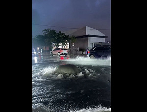 (影)台中路面淹水「噴出泥泉」水溝蓋隆起害20車爆胎、保險桿撞壞