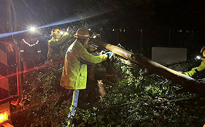 楊柳颱風吹斷電線桿！全台13.4萬戶「大停電」台東、桃園破萬戶待修