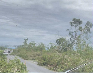 丹娜絲颱風破表陣風狂襲！國道一號如叢林障礙賽