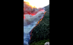 末日景象！敘利亞野火失控20公里濃煙吞噬 數千人逃亡 土耳其觀光勝地也陷火劫
