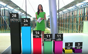 德國另類選擇黨地位不復存在? CNN：烈士效應將助長極右民粹主義