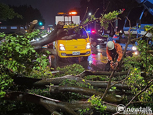 丹娜絲颱風強襲台南災情嚴重 市府迅速恢復市容嚴防登革熱