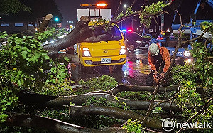 丹娜絲颱風強襲台南災情嚴重 市府迅速恢復市容嚴防登革熱