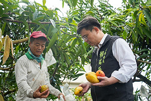 丹娜絲釀高雄農損  賴瑞隆允助農民爭取農業部救助