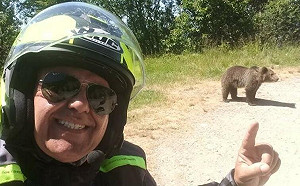 (影) 錯把猛獸當家畜! 巴基斯坦獅子翻牆襲路人、義遊客和野熊自拍後被咬死