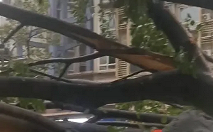 (影) 丹娜絲兩度登陸浙江! 重慶暴雨冰雹釀災商場灌水、廣西五層樓倒入河中