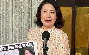 柯建銘用刑法100條辦藍委 吳思瑤連說3次Never：不走回頭路　