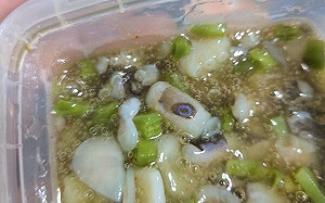 高雄男買芥末章魚驚見劇毒「藍環章魚」 催吐後醫提醒無藥醫