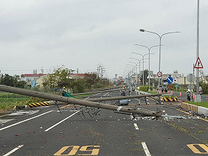 丹娜絲襲台!2454支電桿倒成「骨牌」史上最嚴重