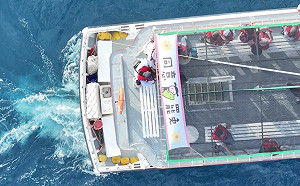 做生意別碰政治？知名賞鯨號掛罷免旗出航：安靜也可以響亮