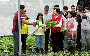 （影）賴清德視察雲林風災農損 指示 「從優、從速、從寬、從簡」救助